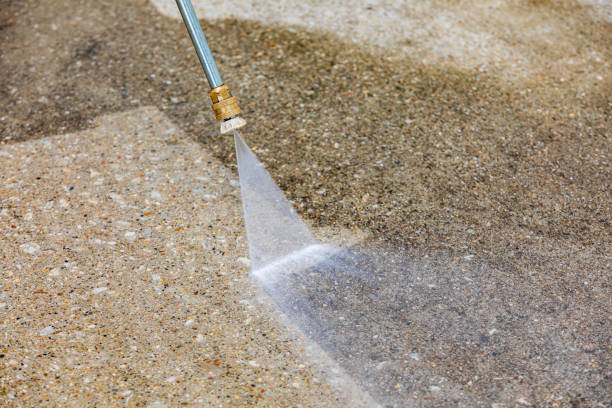 Animal Enclosure Cleaning in Iona, FL